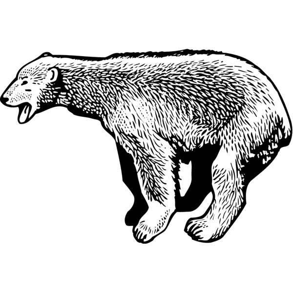 BEAR014_ Thumbnail